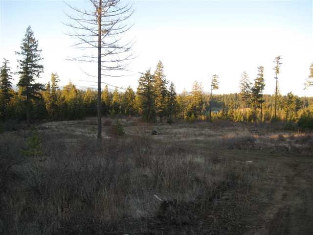 3 East Antler Road Chattaroy, WA 99003 - Photo 5 of 9 Gallery Image 5