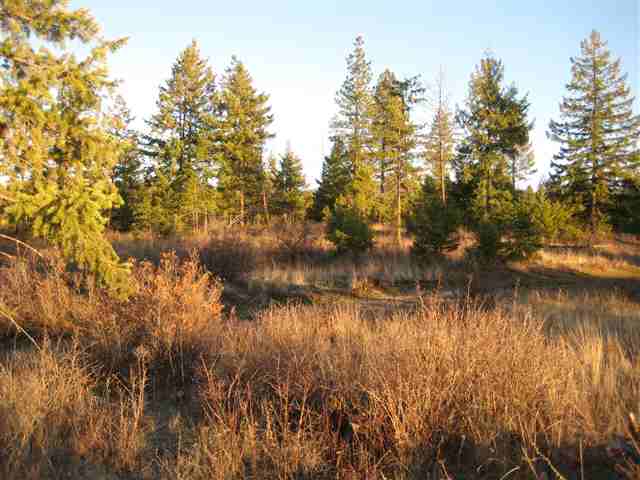 3 East Antler Road Chattaroy, WA 99003 - Photo 6 of 9 Gallery Image 6