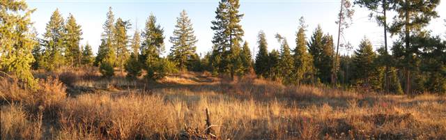 3 East Antler Road Chattaroy, WA 99003 - Photo 7 of 9 Gallery Image 7
