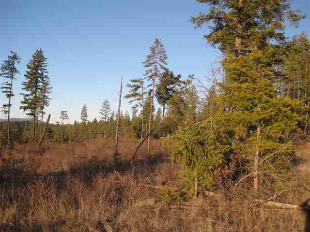 3 East Antler Road Chattaroy, WA 99003 - Photo 9 of 9 Gallery Image 9