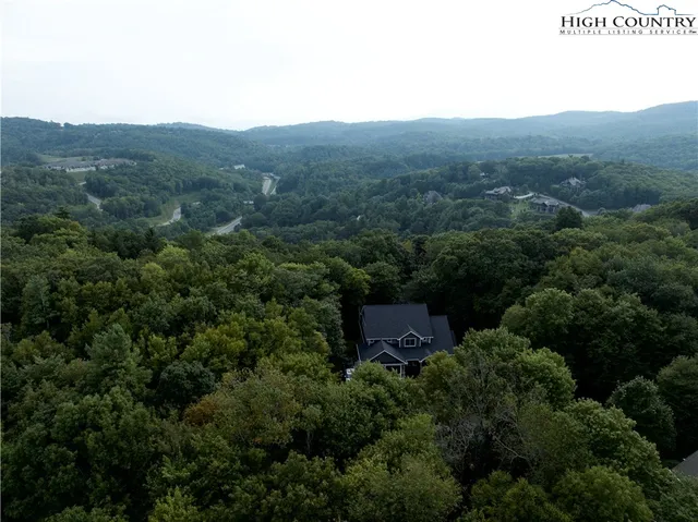 a view of a lush green forest with a house