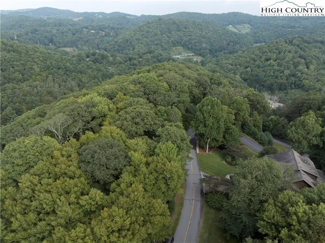 an aerial view of forest