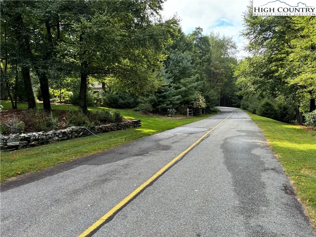 a view of a street with a large trees