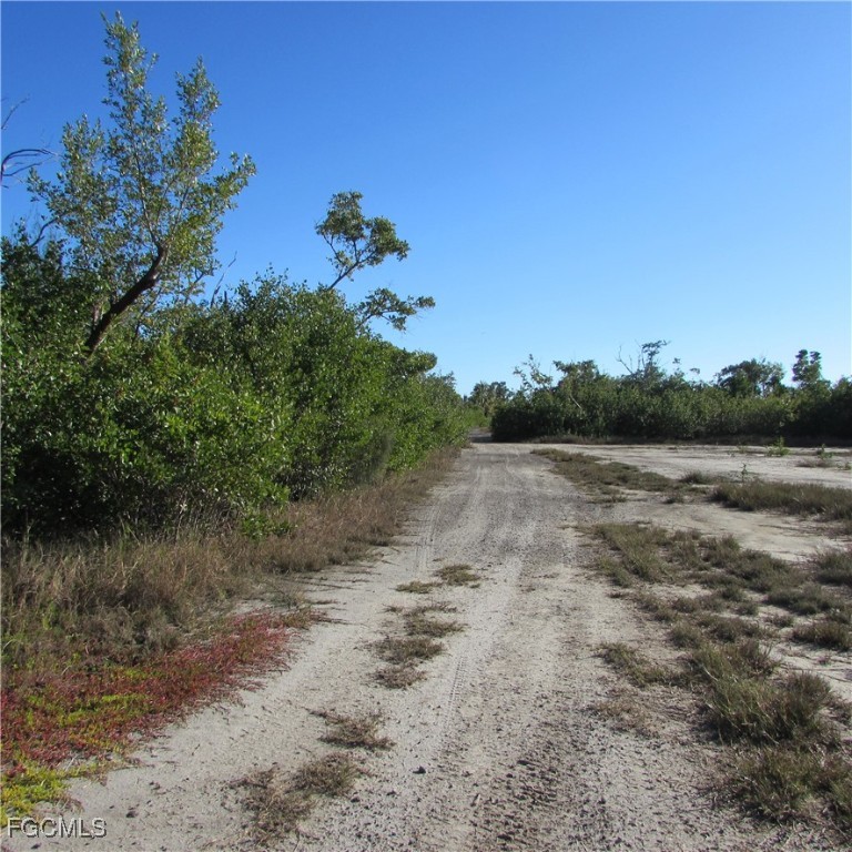 Ficus Tree Bokeelia, FL 33922 - Photo 3 of 8