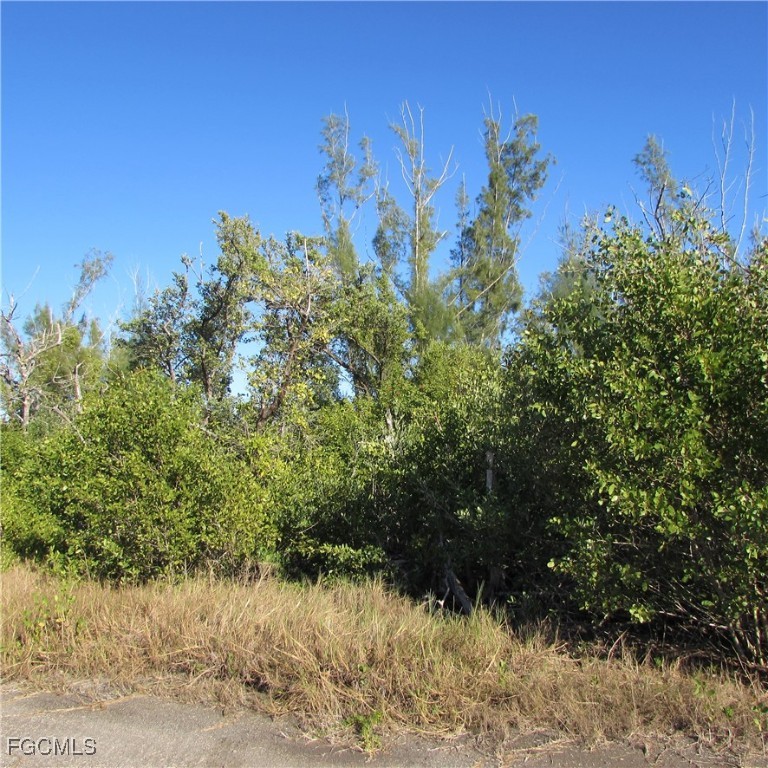Ficus Tree Bokeelia, FL 33922 - Photo 5 of 8