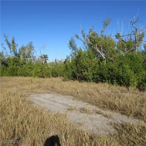 a view of a yard with a tree