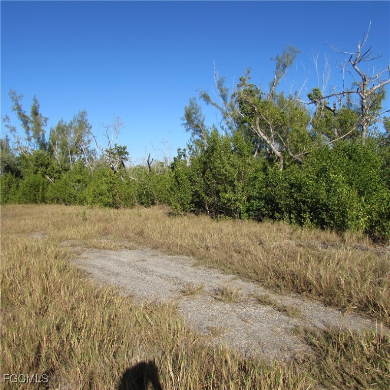 Ficus Tree Bokeelia, FL 33922 - Photo 6 of 8