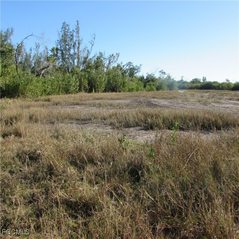 Ficus Tree Bokeelia, FL 33922 - Photo 7 of 8