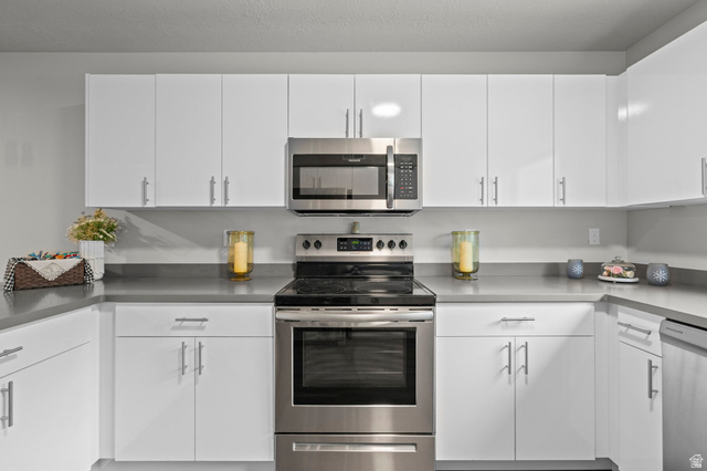 64 West 600 South, Unit C205 Springville, UT 84663 - Photo 11 of 28 Kitchen featuring appliances with stainless steel finishes and white cabinets