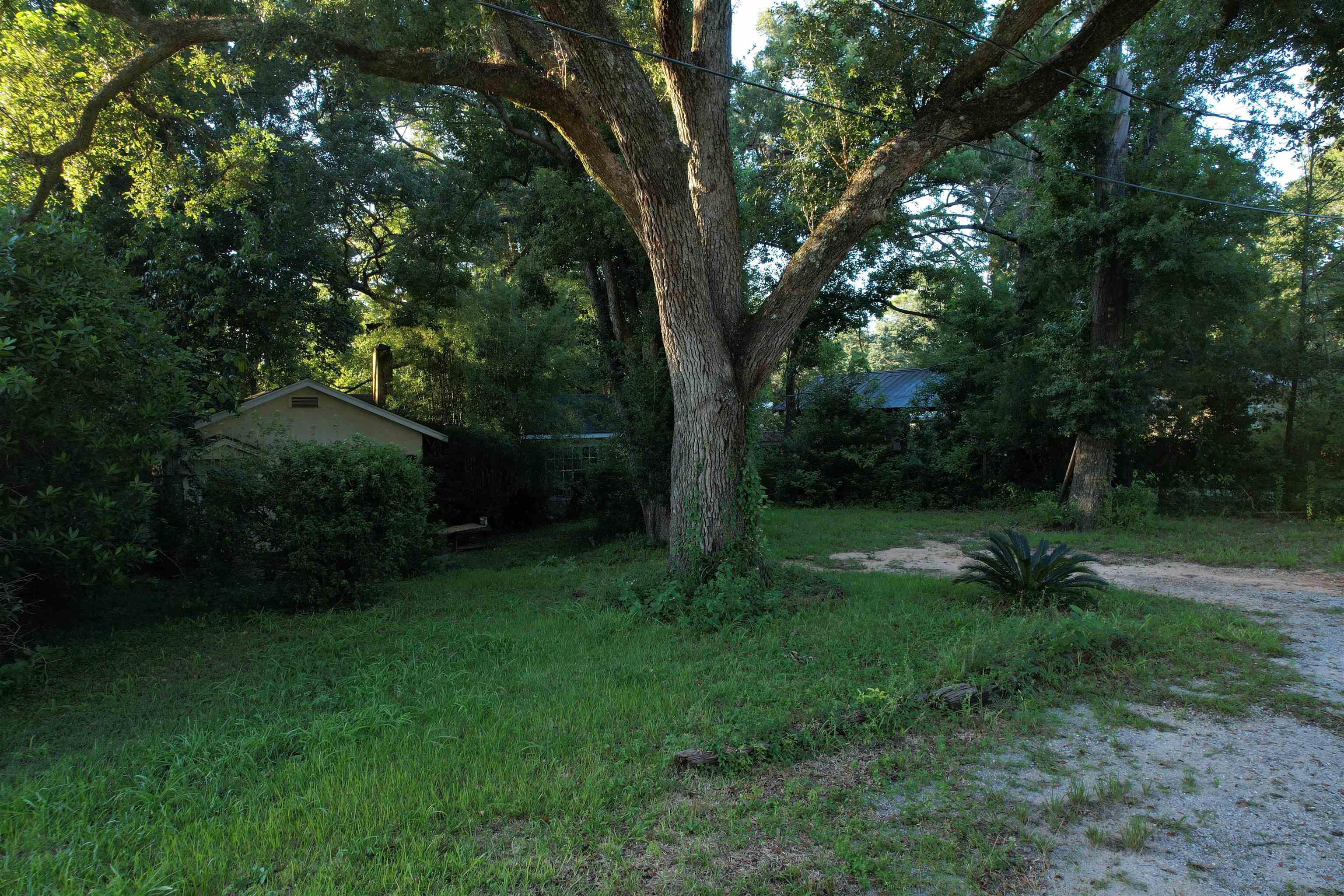 254 George Street Fairhope, AL 36532 - Photo 5 of 11