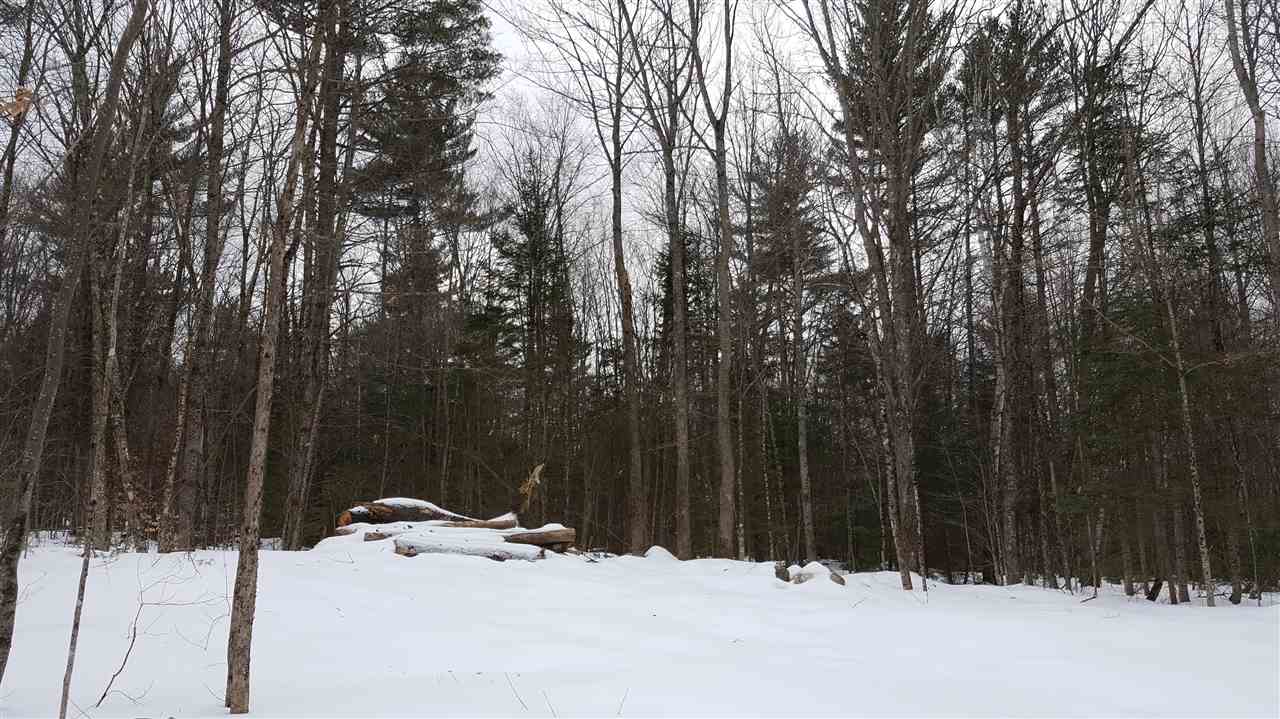 78 Davis Road Belmont, NH 03220 - Photo 2 of 11