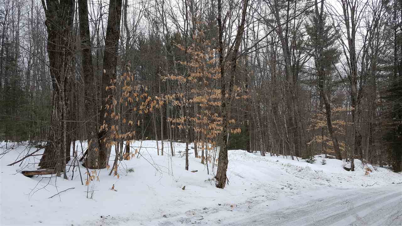 78 Davis Road Belmont, NH 03220 - Photo 3 of 11