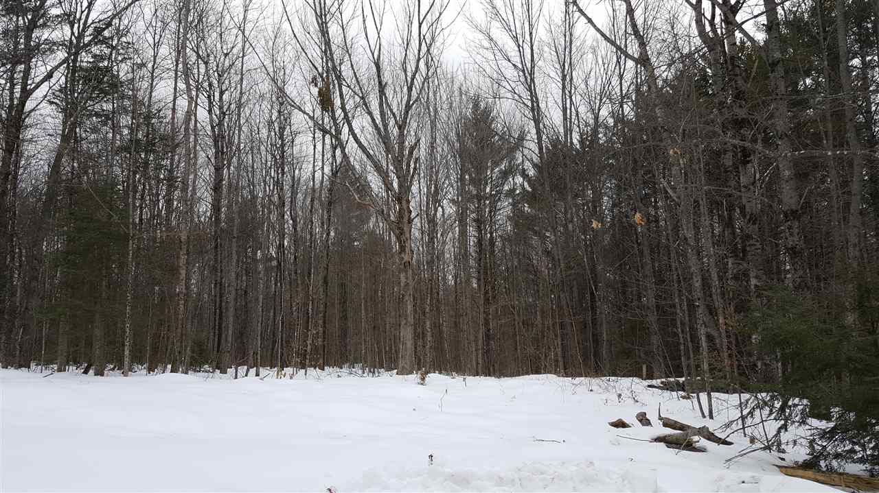 78 Davis Road Belmont, NH 03220 - Photo 4 of 11