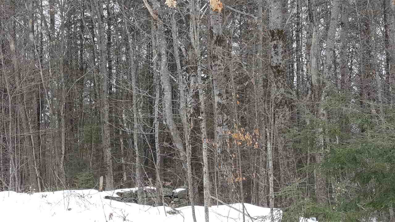 78 Davis Road Belmont, NH 03220 - Photo 5 of 11