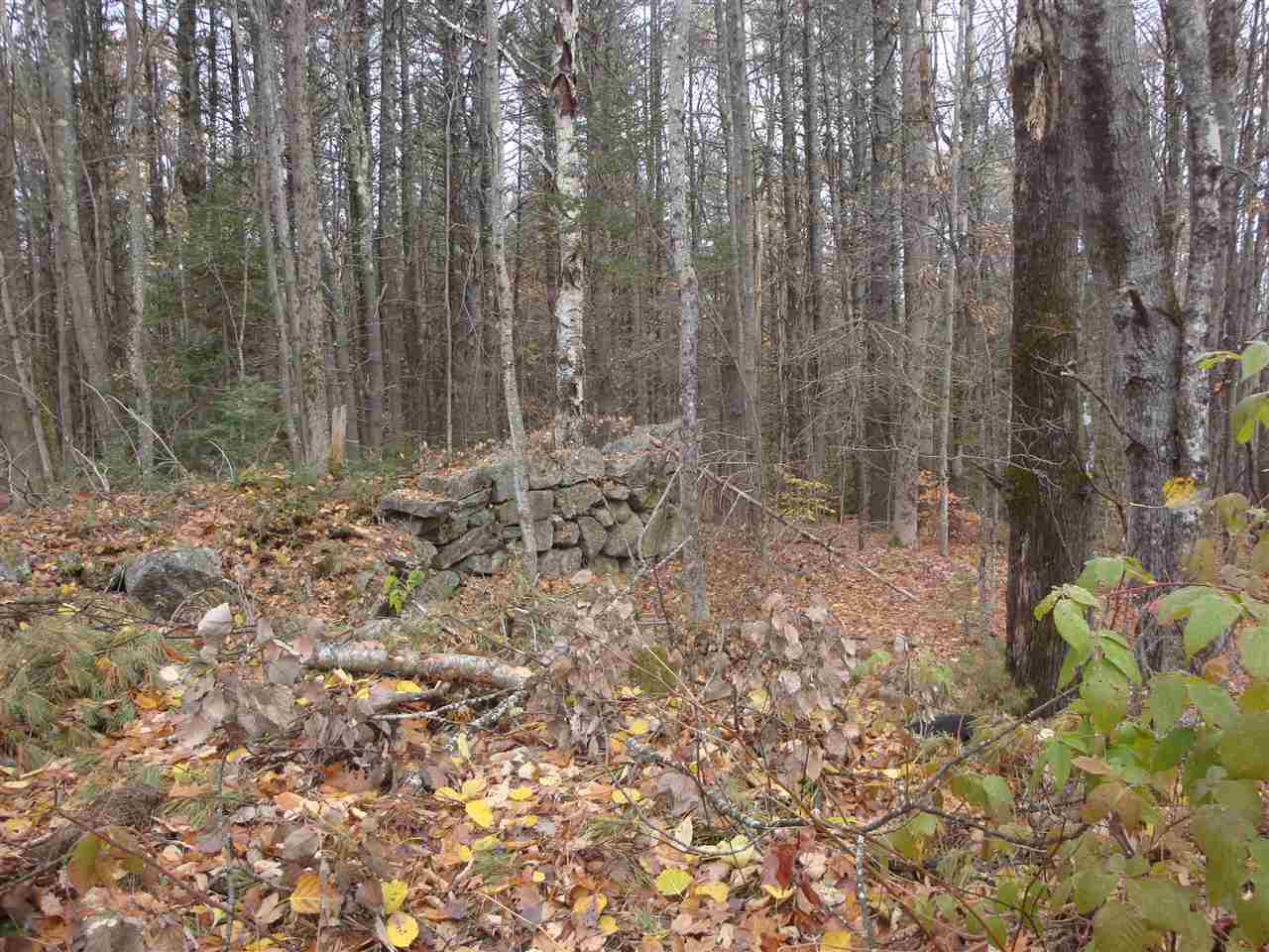 78 Davis Road Belmont, NH 03220 - Photo 10 of 11