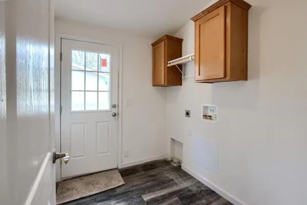 a view of a backyard with a large tree