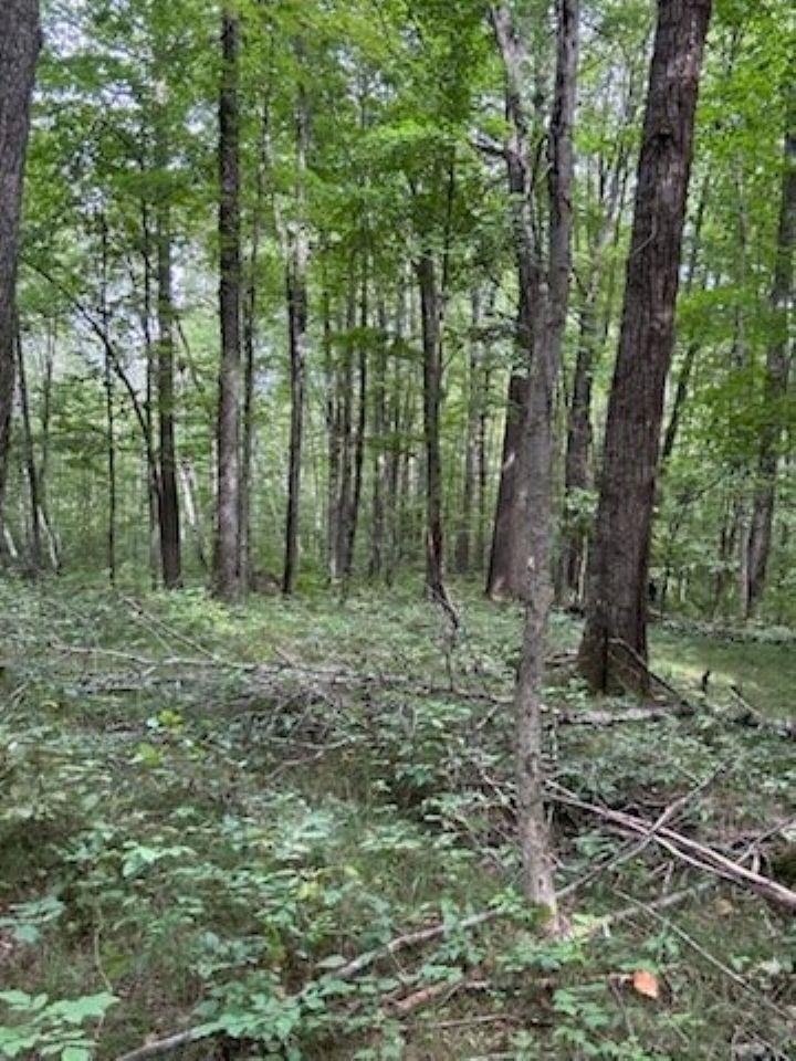 39.94-acres County Rd V Pittsville, WI 54466 - Photo 6 of 17