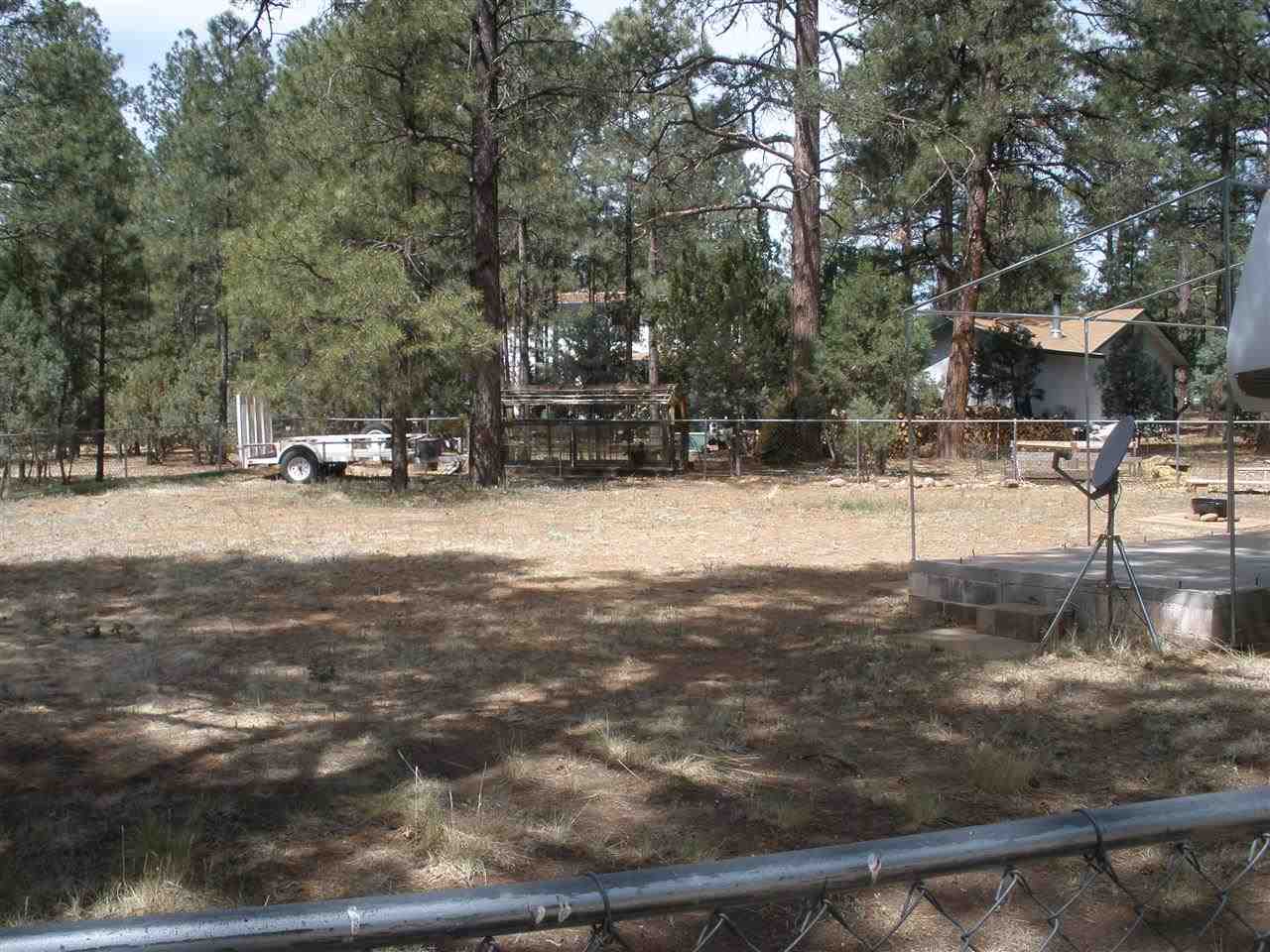 2893 Pine Rim Road Overgaard, AZ 85933 - Photo 11 of 13