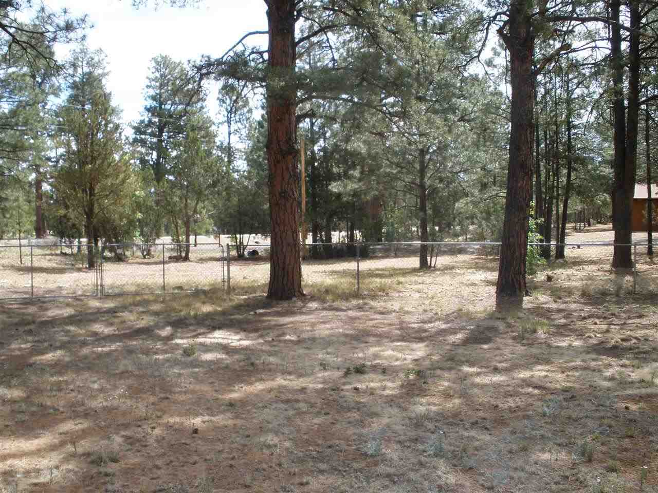 2893 Pine Rim Road Overgaard, AZ 85933 - Photo 12 of 13