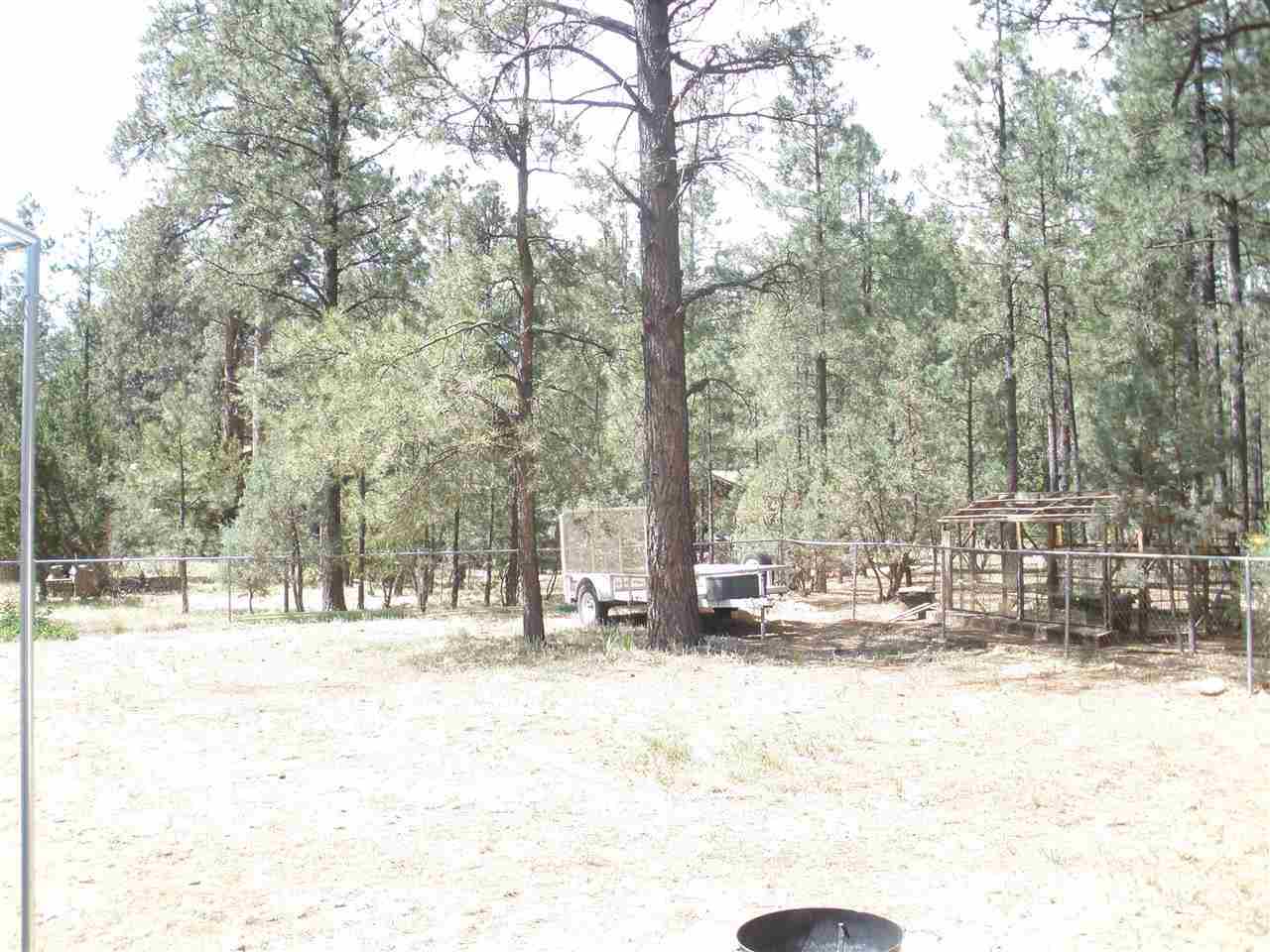2893 Pine Rim Road Overgaard, AZ 85933 - Photo 13 of 13