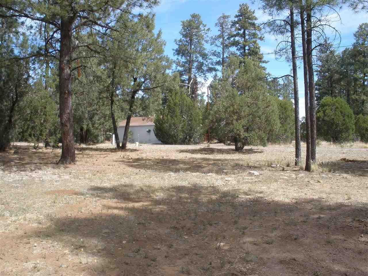 2893 Pine Rim Road Overgaard, AZ 85933 - Photo 2 of 13