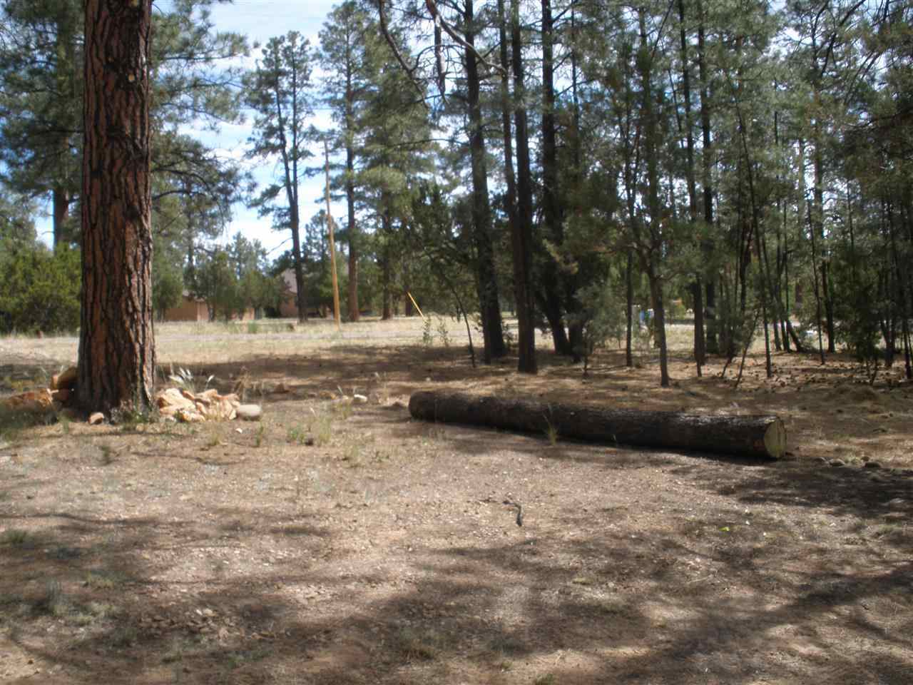2893 Pine Rim Road Overgaard, AZ 85933 - Photo 3 of 13