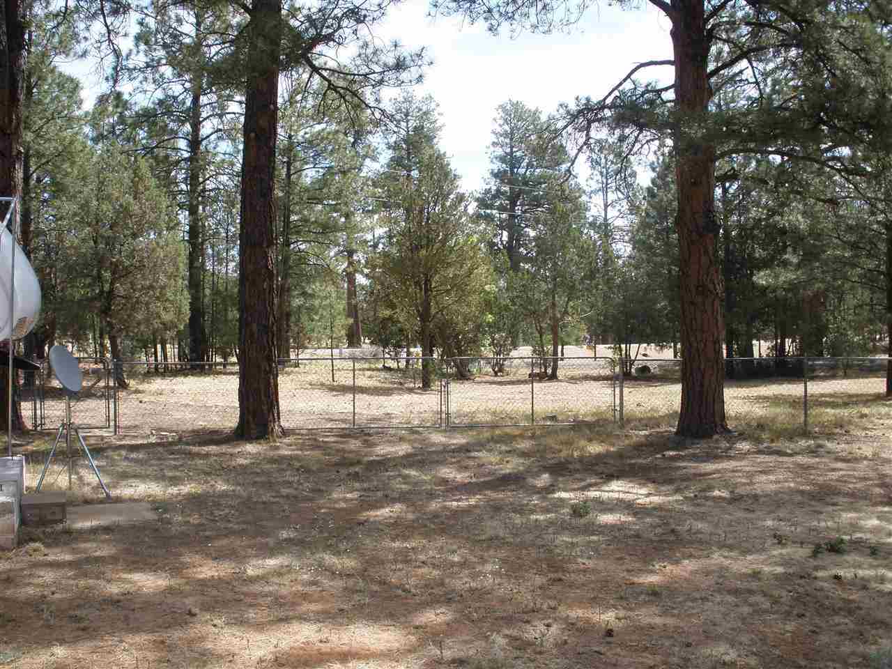 2893 Pine Rim Road Overgaard, AZ 85933 - Photo 4 of 13