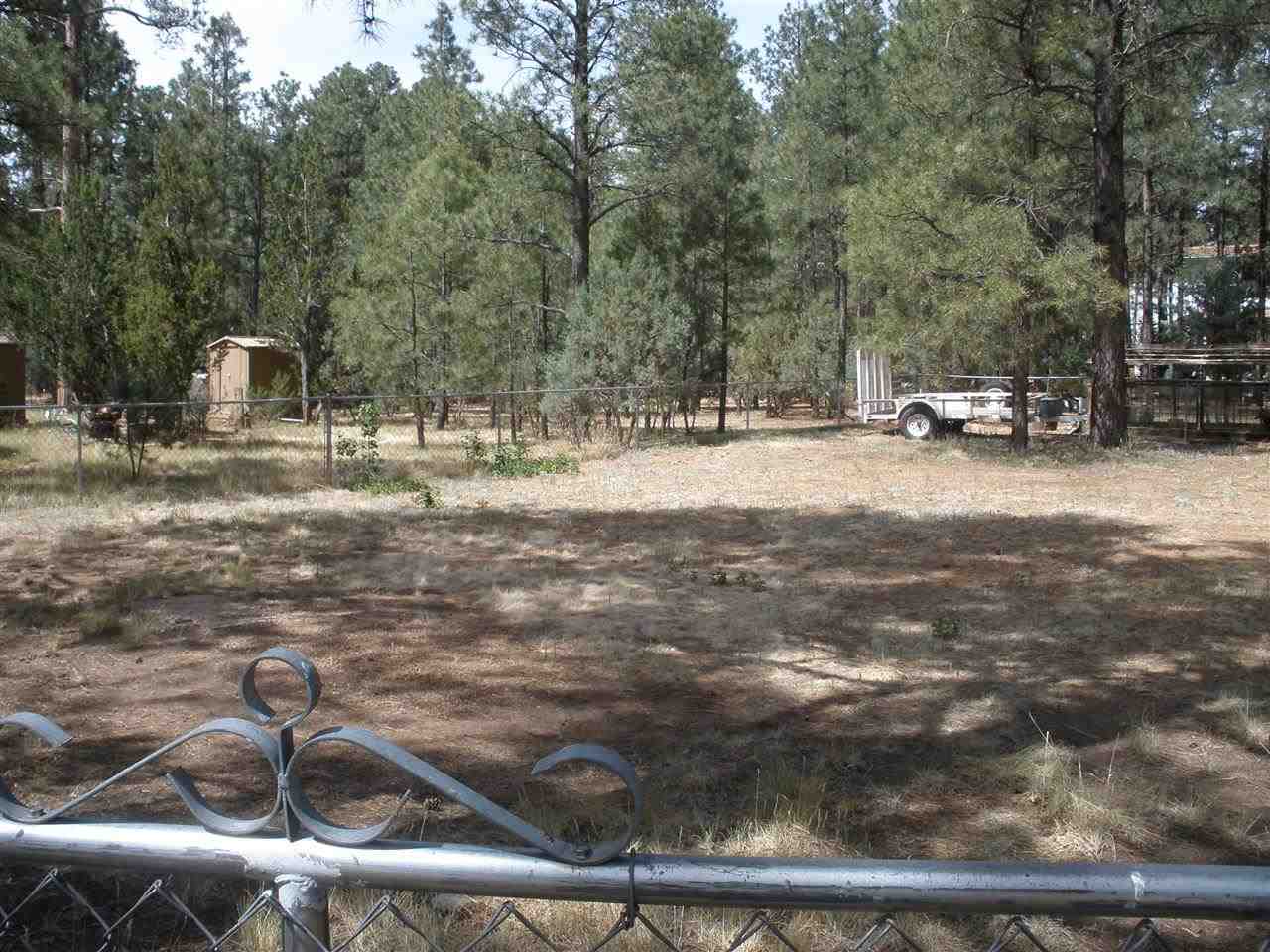 2893 Pine Rim Road Overgaard, AZ 85933 - Photo 5 of 13