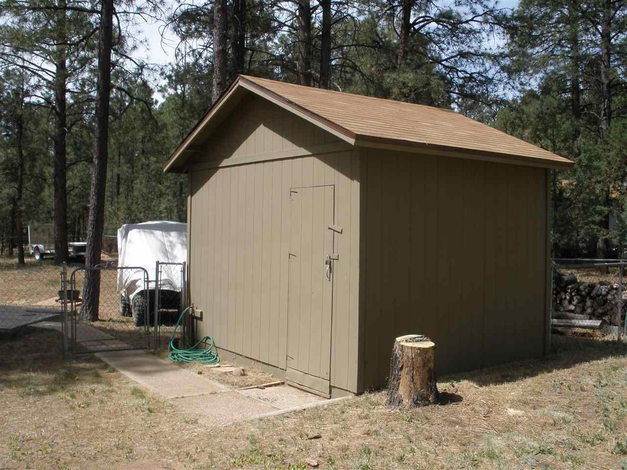 2893 Pine Rim Road Overgaard, AZ 85933 - Photo 7 of 13
