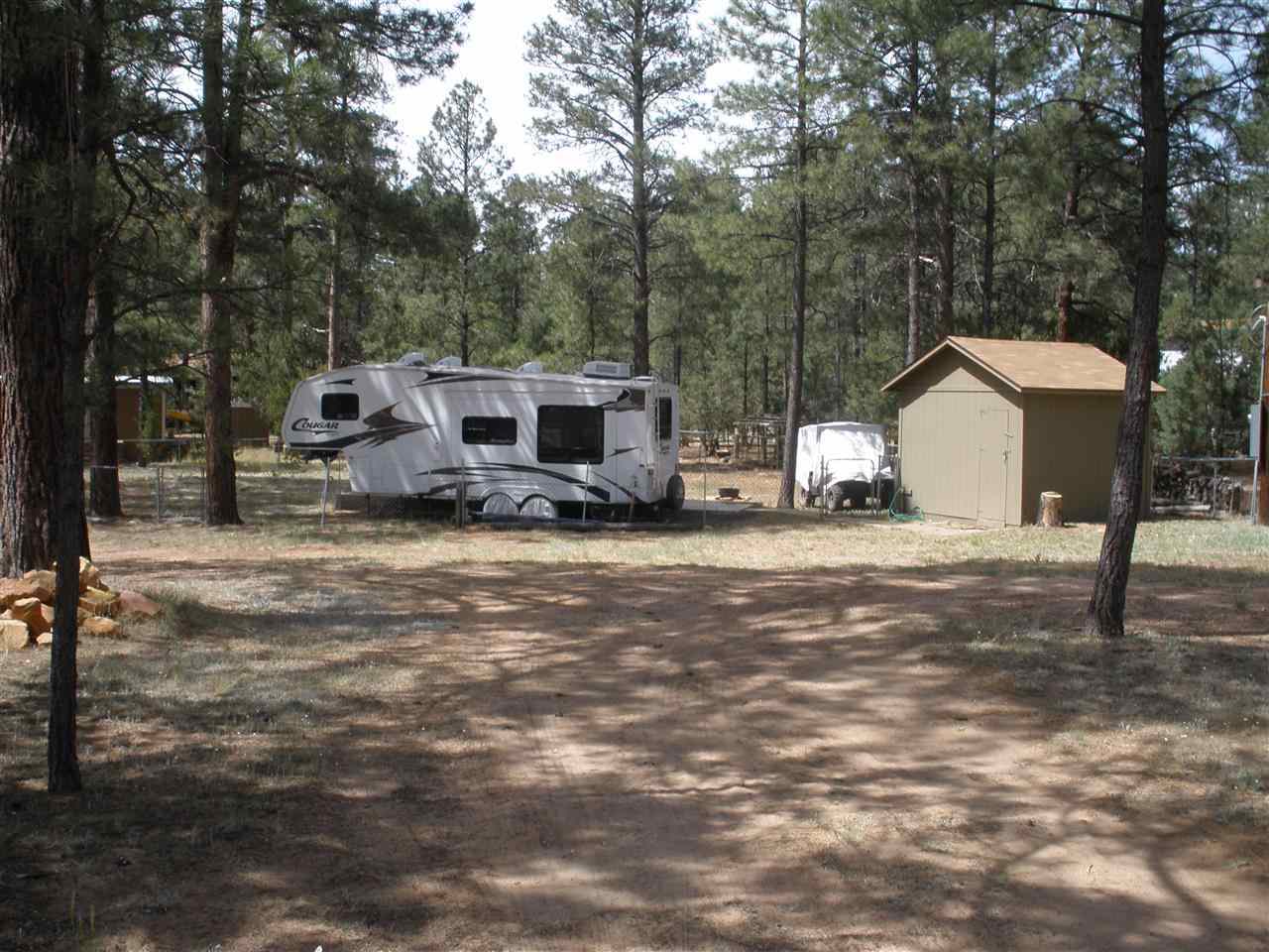 2893 Pine Rim Road Overgaard, AZ 85933 - Photo 8 of 13
