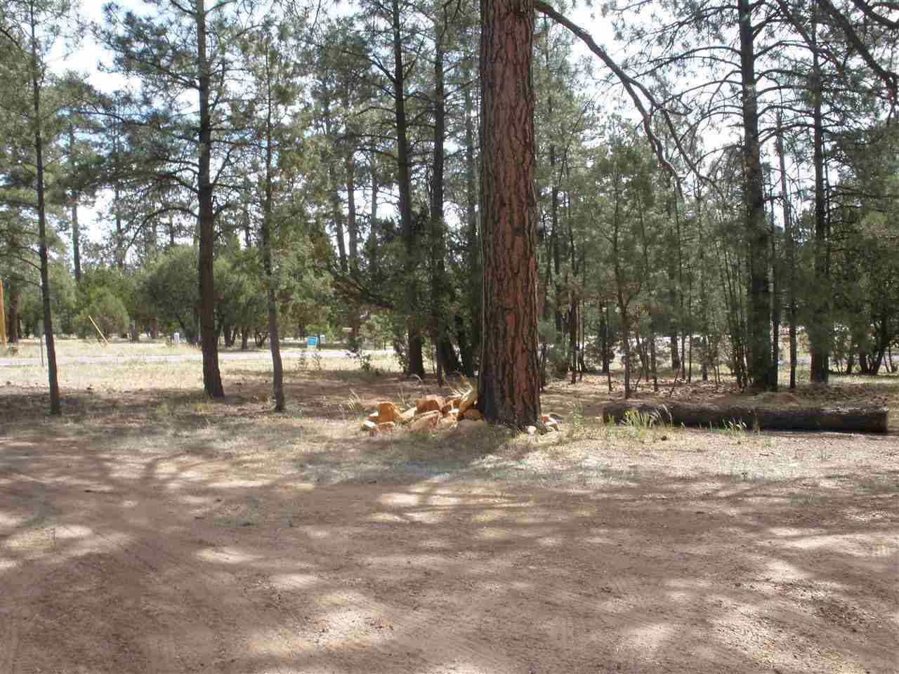 2893 Pine Rim Road Overgaard, AZ 85933 - Photo 9 of 13