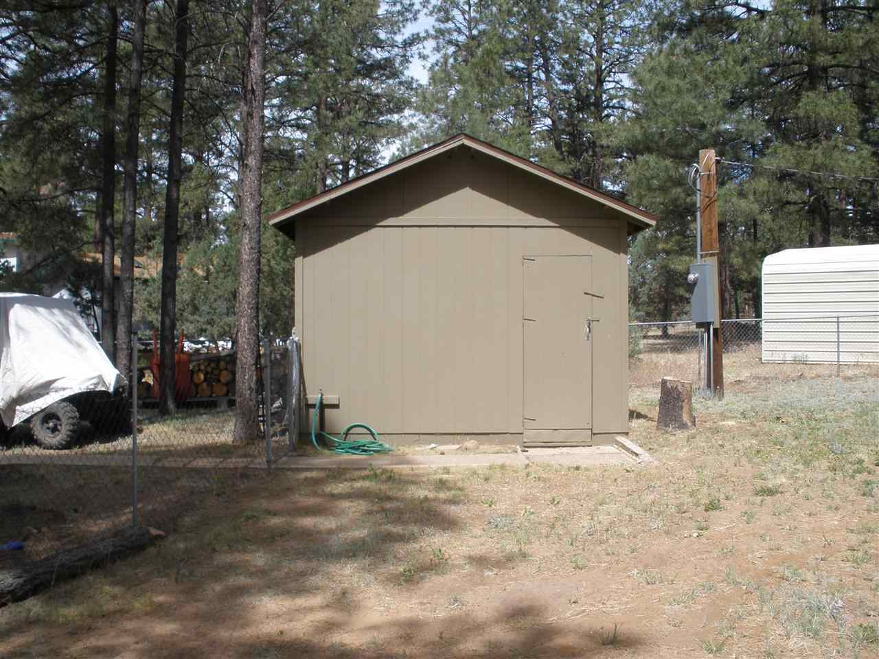 2893 Pine Rim Road Overgaard, AZ 85933 - Photo 10 of 13