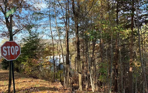 $40,500 | 25 Mountain Knoll Lane, Warne, NC 28909