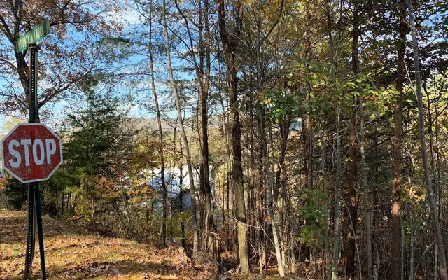 $45,500 | 25 Mountain Knoll Lane, Warne, NC 28909