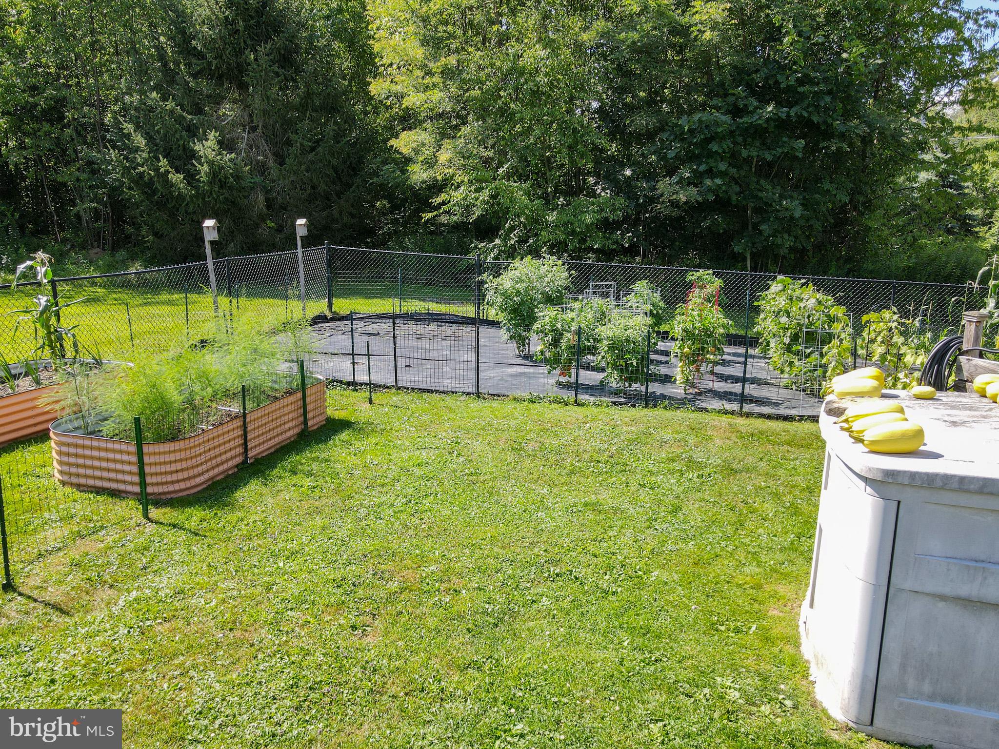 265 Fearer Road Friendsville, MD 21531 - Photo 64 of 75 Lush garden oasis in a serene setting.