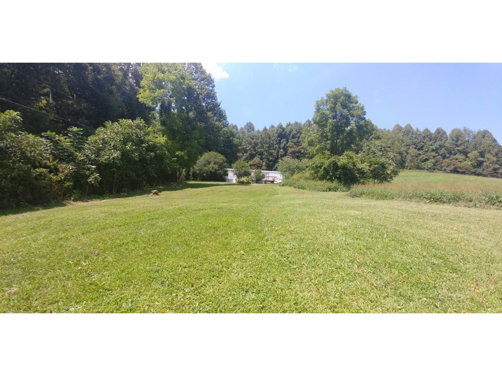 190 Clyde White Road Elizabethton, TN 37643 - Photo 1 of 14 Photo 1