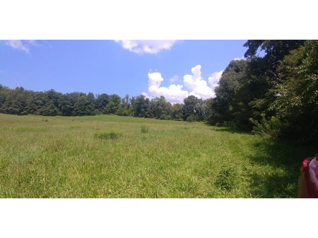 190 Clyde White Road Elizabethton, TN 37643 - Photo 11 of 14 Photo 11