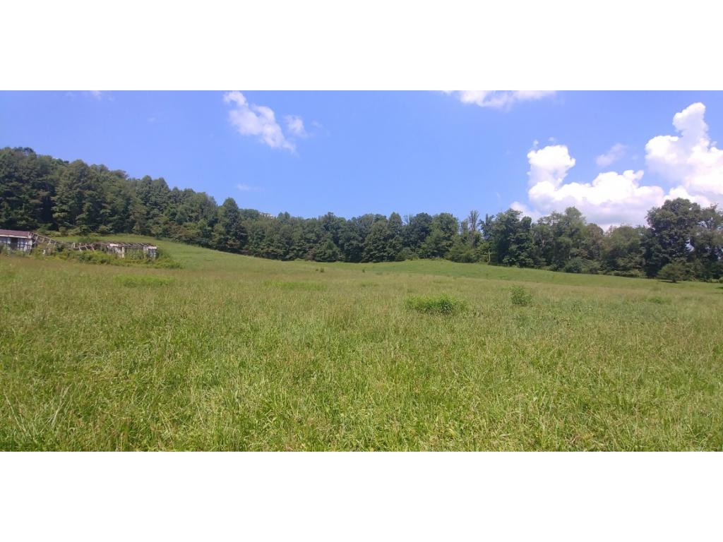190 Clyde White Road Elizabethton, TN 37643 - Photo 12 of 14 Photo 12