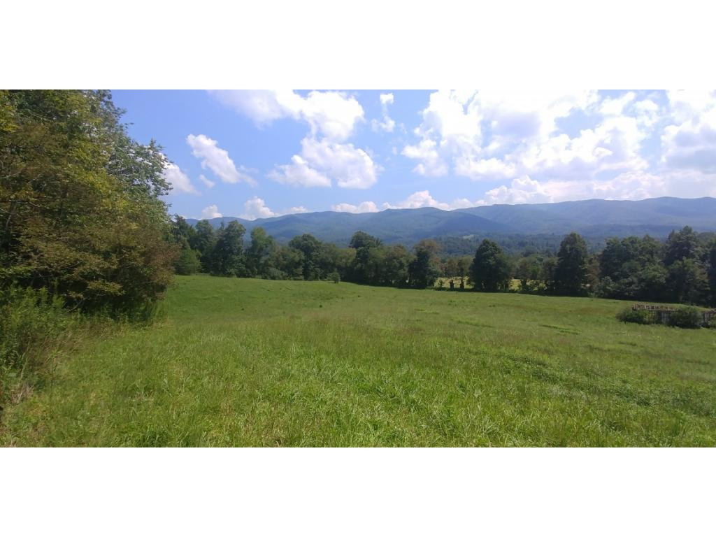 190 Clyde White Road Elizabethton, TN 37643 - Photo 3 of 14 Photo 3