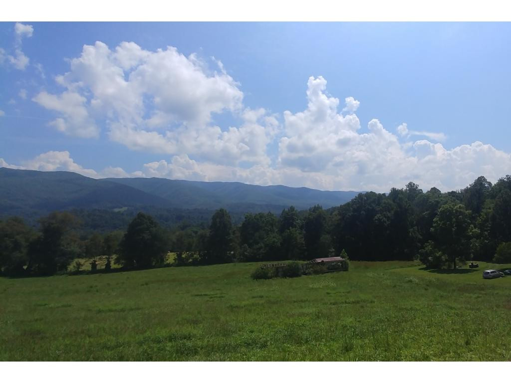 190 Clyde White Road Elizabethton, TN 37643 - Photo 4 of 14 Photo 4