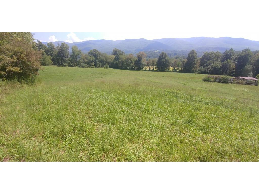 190 Clyde White Road Elizabethton, TN 37643 - Photo 5 of 14 Photo 5