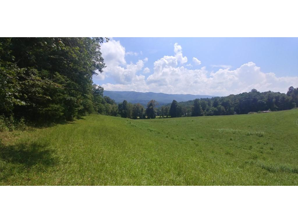 190 Clyde White Road Elizabethton, TN 37643 - Photo 6 of 14 Photo 6