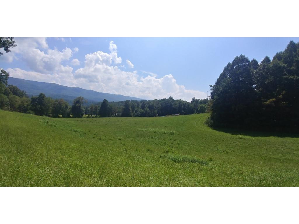 190 Clyde White Road Elizabethton, TN 37643 - Photo 7 of 14 Photo 7
