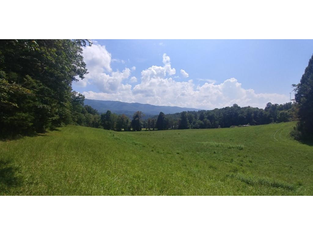 190 Clyde White Road Elizabethton, TN 37643 - Photo 8 of 14 Photo 8