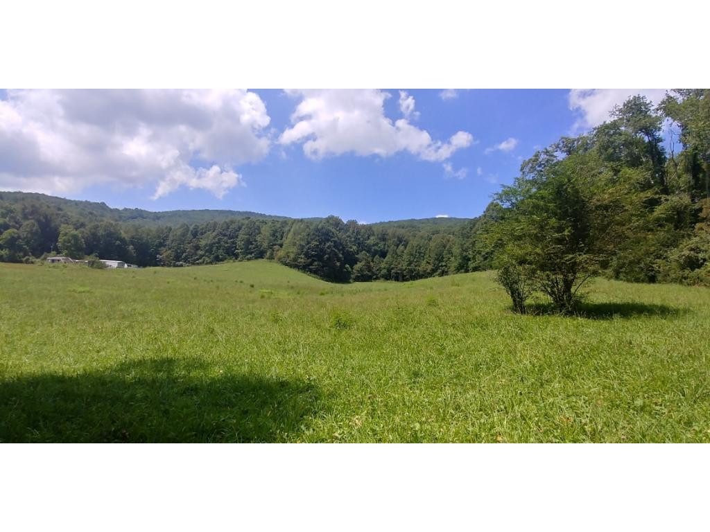 190 Clyde White Road Elizabethton, TN 37643 - Photo 9 of 14 Photo 9