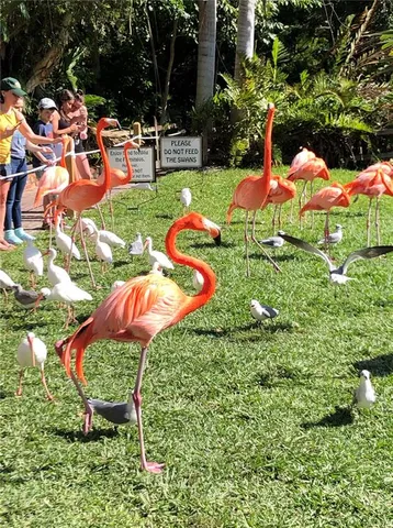 $2,650 | 3605 Iroquois Avenue, Sarasota, FL 34234