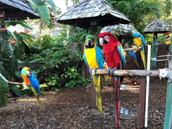 $2,950 | 3605 Iroquois Avenue, Sarasota, FL 34234