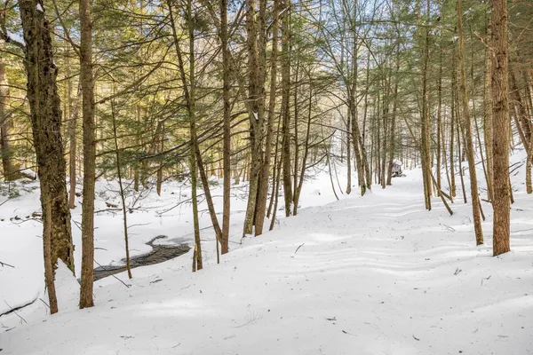 $630,000 | 68 Doe Lane, Newbury, VT 05051