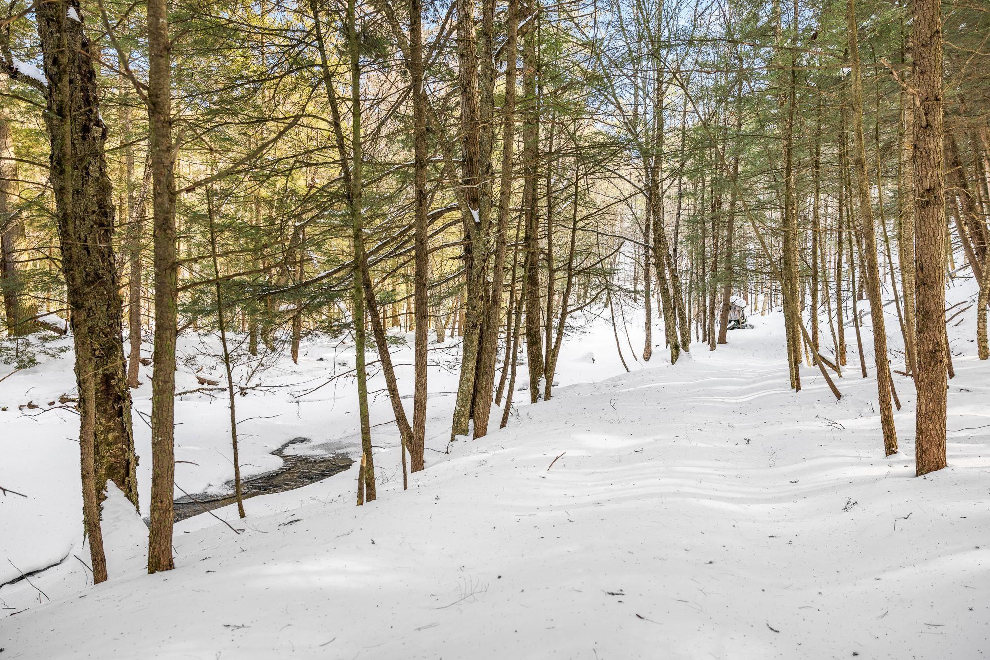 68 Doe Lane Newbury, VT 05051 - Photo 60 of 60
