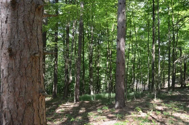 $45,000 | Breesport Road, Erin, NY 14838